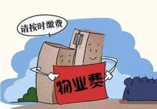 未收樓也要交物業(yè)管理費嗎