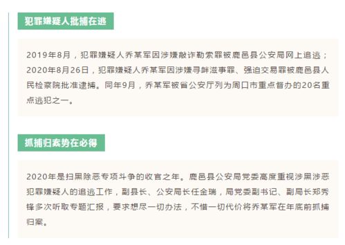 周口城事 酬金制物業管理落地老舊小區，涉惡嫌犯歸案與公交車浪漫婚禮同現